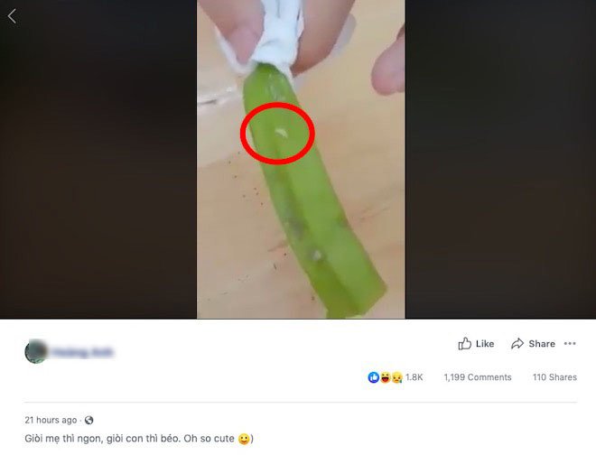 Sinh viên tố căng tin bán đậu bắp có dòi, KTX mời công an vào cuộc - 1