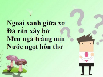 Tưởng ngon ăn nhưng cả triệu người trả lời sai 5 câu đố vui này, bạn có dám thử?