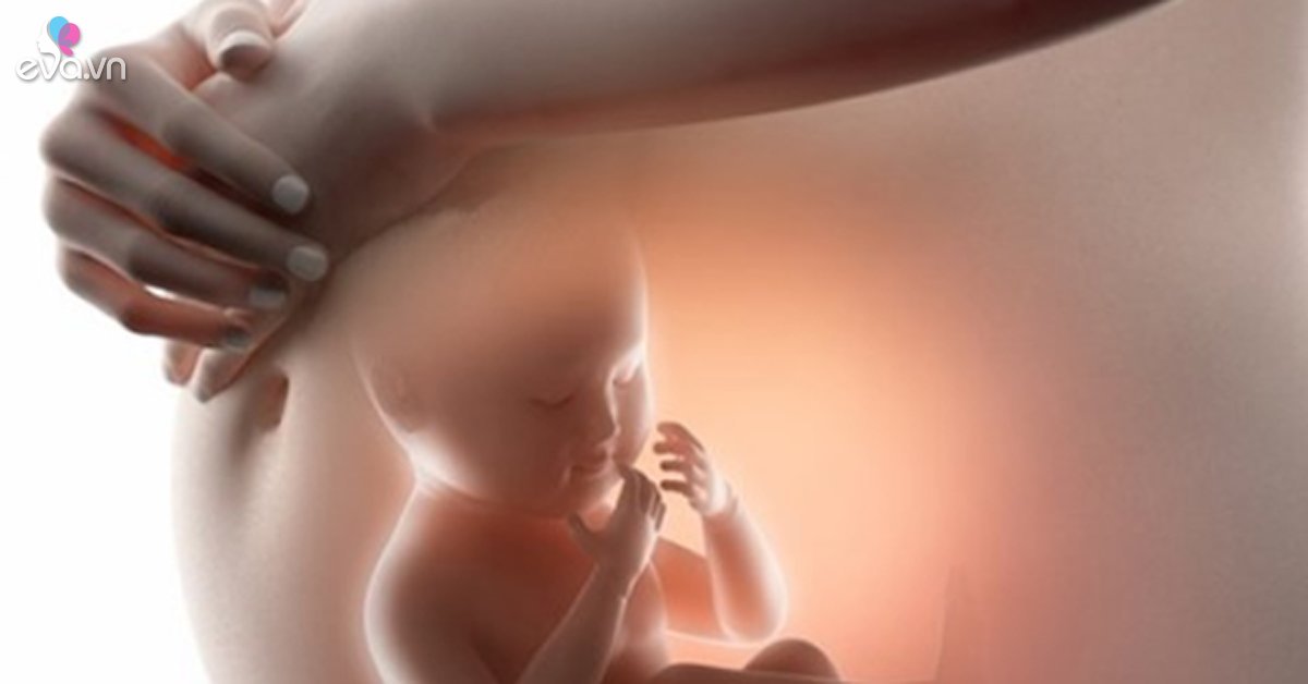 Притча про младенцев в утробе. Многоплодная беременность Акушерство. Многоплодная беременность в утробе.