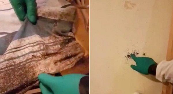6 năm không giặt chăn đệm, hai vợ chồng “hoảng hồn” phát hiện thứ khủng khiếp khi lật đệm lên - 1
