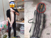 Eva tám - Chồng khoe ảnh đi câu cùng bạn, vợ phát hiện ngay "cá 50kg" nhờ chi tiết không ngờ