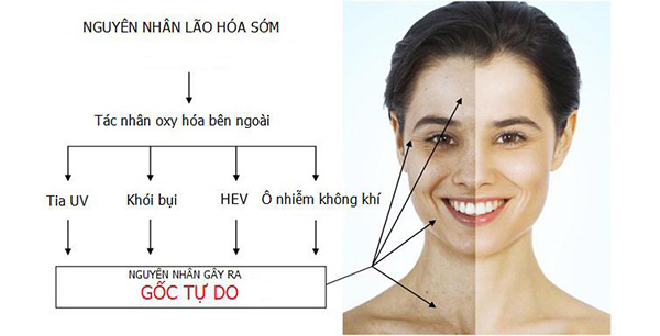 Review kem dưỡng da chống nắng - chống ánh sáng xanh Chacol - 2