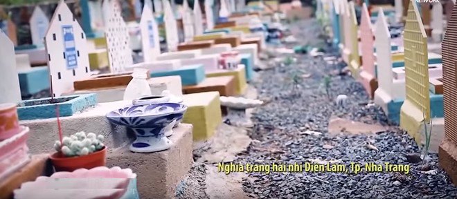 Trấn Thành và dàn sao Việt chết lặng trước người thu 20.000 xác thai nhi từ gốc cây, bệnh viện - 4