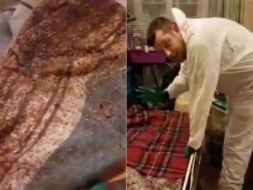 6 năm không giặt chăn đệm, hai vợ chồng “hoảng hồn” phát hiện thứ khủng khiếp khi lật đệm lên