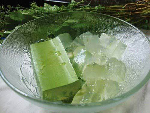 Giã nát rau diếp cá rồi cho thêm thứ này, mụn cứng đầu đến đâu cũng hết sạch đến đó - 3