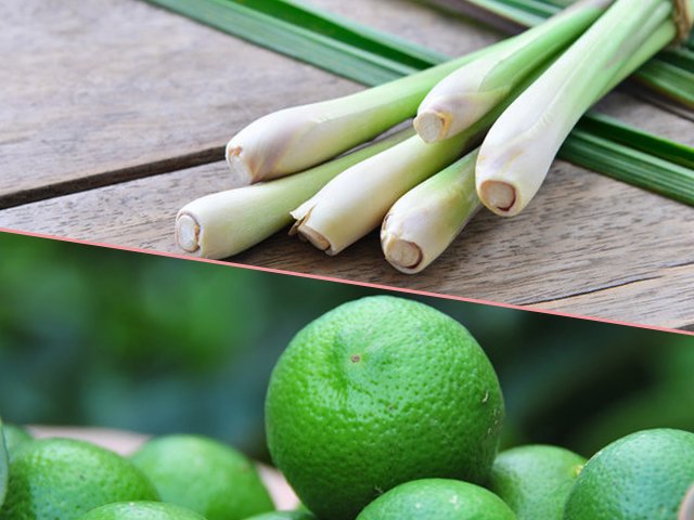Cứ đun 1 sả, 1 chanh rồi uống, 7 ngày giảm ngay 3kg, da đẹp hơn bôi kem - 1