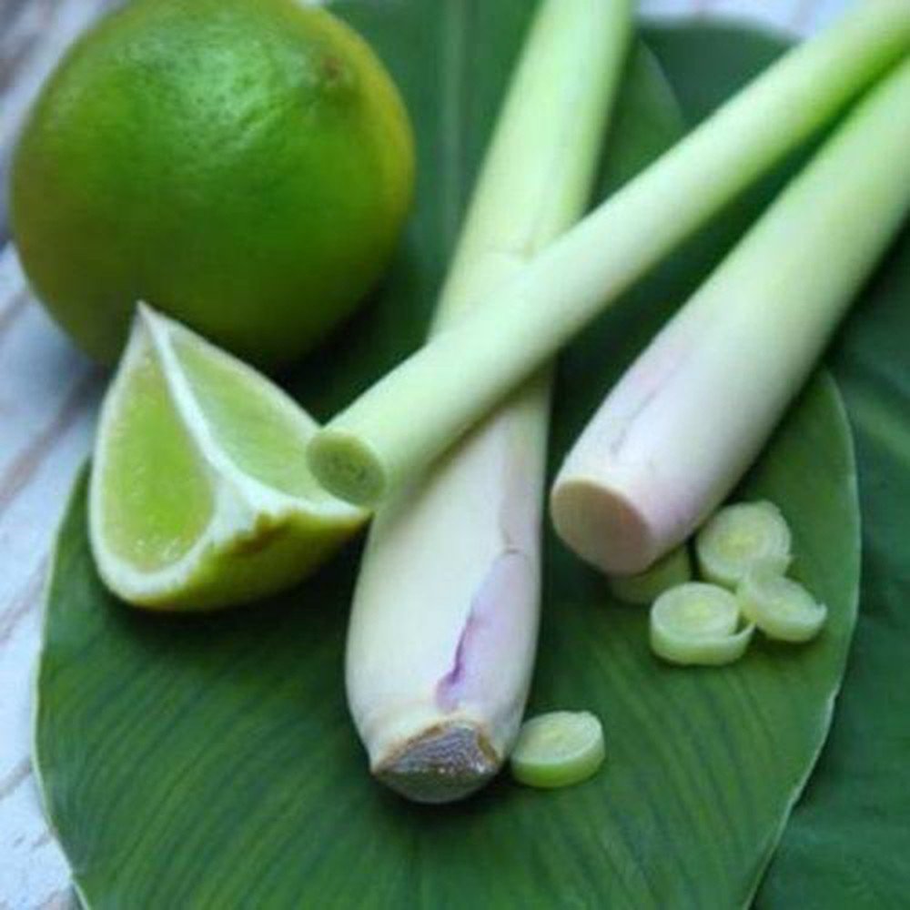 cu dun 1 sa, 1 chanh roi uong, 7 ngay giam ngay 3kg, da dep hon boi kem - 3