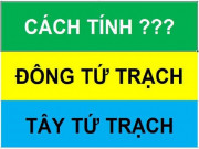 Nhà đẹp - Hướng Tây tứ trạch và Đông tứ trạch trong phong thủy là gì?