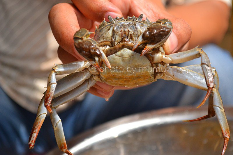 Cách làm sạch cua ᵭơn giản mà nhanh, ăn bao nhiêu cũng khȏng sợ ᵭầy bụng - 3