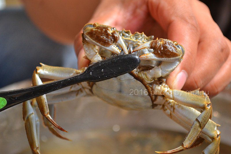 Cách làm sạch cua ᵭơn giản mà nhanh, ăn bao nhiêu cũng khȏng sợ ᵭầy bụng - 4