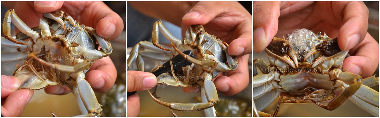 Cách làm sạch cua ᵭơn giản mà nhanh, ăn bao nhiêu cũng khȏng sợ ᵭầy bụng - 5