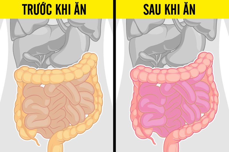 Nếu bạn bị hội chứng ruột kích thích, cà chua thực sự có thể kích hoạt các triệu chứng. Chúng bao gồm tiêu chảy, chuột rút, đầy hơi và táo bón. Trong trường hợp này, tốt nhất là tránh xa các thực phẩm có tính axit như cà chua và sốt cà chua.
