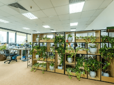 Không gian làm việc độc đáo, cây xanh "phủ" khắp nơi
