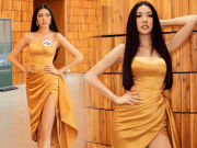 Thời trang - Lý do Thúy Vân dù đã là Á hậu Quốc tế vẫn thi Hoa hậu Hoàn vũ Việt Nam