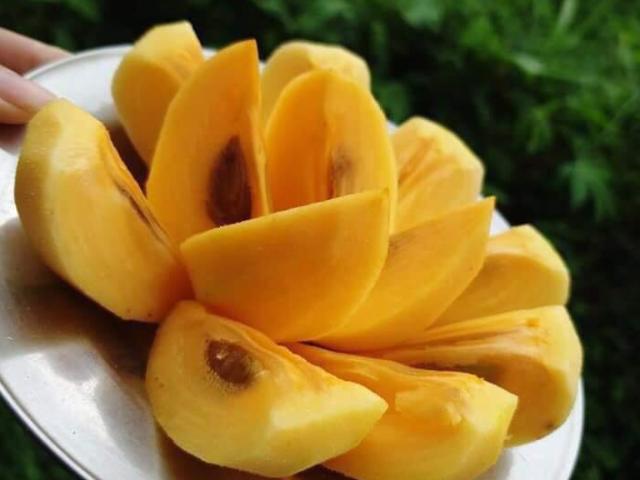 Ăn hồng ngon, bổ nhưng phải tránh những điều này kẻo tắc ruột, nhập viện cấp cứu