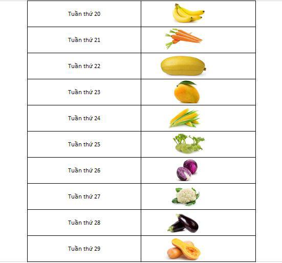 Cân nặng thai nhi theo tuần chuẩn trọng lượng và chiều dài - 2