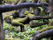 Lifestyle - Kỳ quái những bức tượng “biết nói”