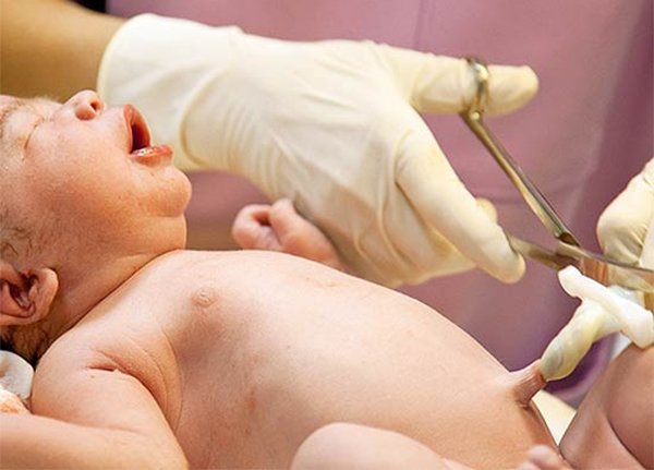 su that it nguoi biet ve day ron quan co: khong nguy hiem nhu me nghi! - 2