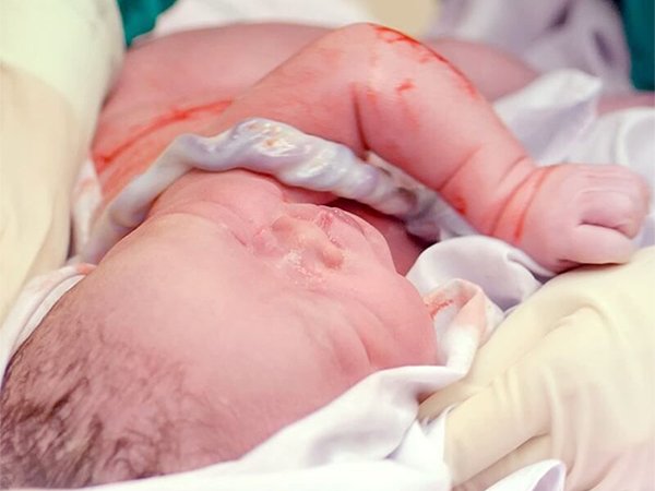 su that it nguoi biet ve day ron quan co: khong nguy hiem nhu me nghi! - 1