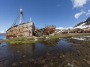 Xem ăn chơi - Khám phá “thị trấn ma” - nơi ở của hơn 3 triệu con chim cánh cụt