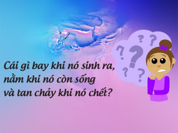 5 câu đố cực hài hước, đáp án khiến bạn ngã ngửa vì ngạc nhiên