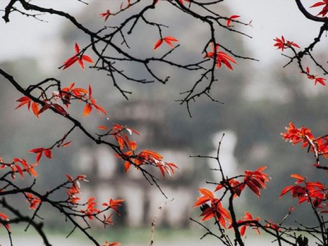 Miền Bắc sắp đón đợt se lạnh đầu tiên, thời tiết mát mẻ đậm chất thu