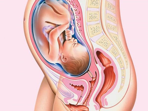 Thai 29 tuần phát triển, mẹ nên hoàn thiện những gì để thai nhi lớn nhanh hơn?  - 3