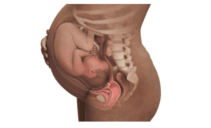 Thai 39 tuần bé đã phát triển toàn diện và các dấu hiệu sắp sinh - 2