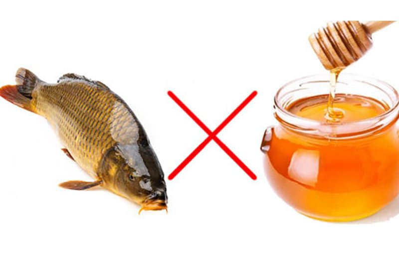 Kết hợp cá chép với mật ong có thể sẽ bị trúng độc. Trong trường hợp này, bạn có thể dùng đậu đen, cam thảo để giải độc.
