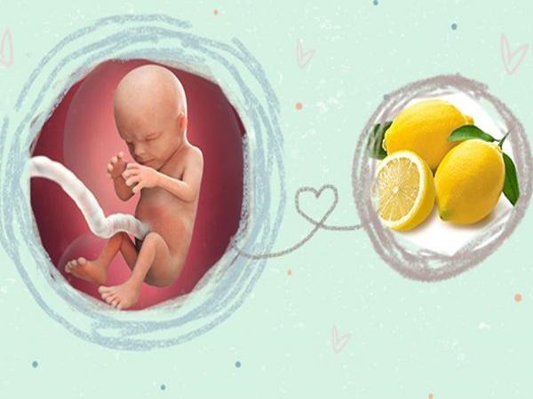 Thai 14 tuần: Bộ phận sinh dục của bé phát triển mạnh mẽ, mẹ hết nghén - 1