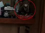 Tin tức - Phòng bà nội quá cố phát ra tiếng động đáng sợ, cô gái ngỡ ngàng với sự thật