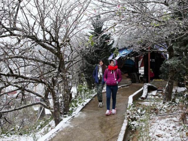 Không khí lạnh tràn về sớm, mùa đông năm 2019 diễn biến thế nào?