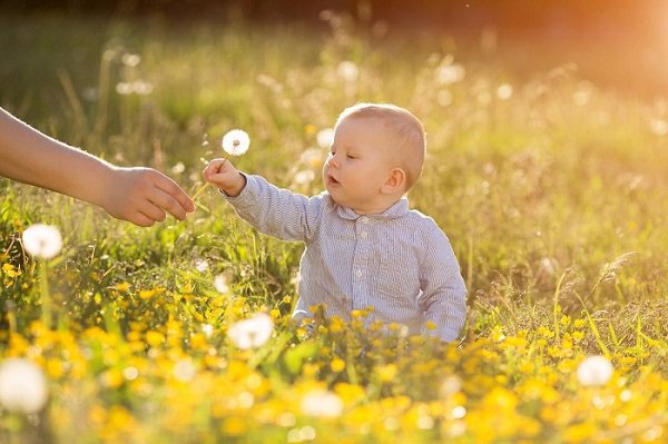 Bé mọc răng chậm cha mẹ nên xử trí thế nào? - 3
