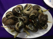 Ngon-bổ-rẻ - Ăn con đặc sản “nhơn nhớt”: Giòn, ngon, lạ khiến thực khách mê mẩn