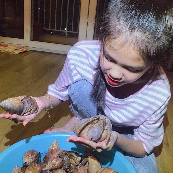 óc mà khong phải là óc, khong an duọc, gia len toi 2-3 trieu dong/con - 3