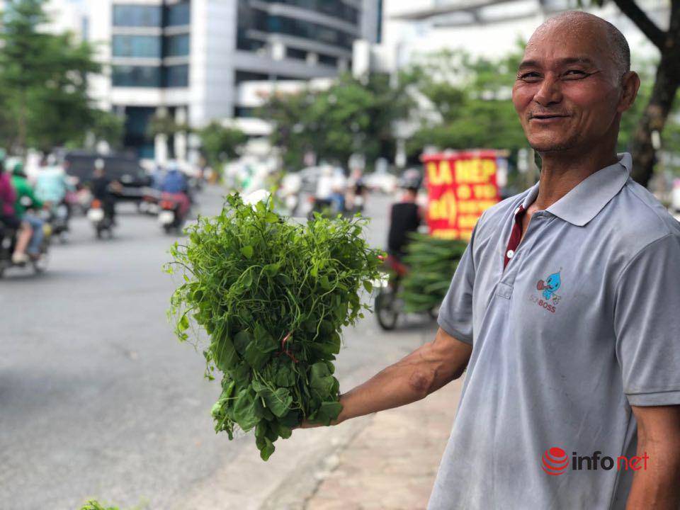 Đặc sản rau rừng đổ bộ về Thủ đô, giá chát vẫn cháy hàng