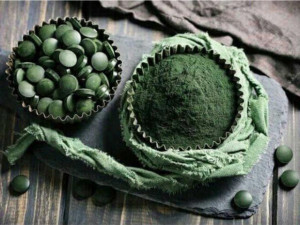 Tác dụng của tảo xoắn với đối với sức khỏe và tim mạch