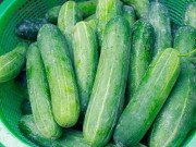 Sức khỏe - Những sai lầm khi ăn dưa chuột dễ rước bệnh vào người, đa số người Việt đều mắc phải