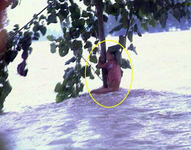 Cô bé ôm cây 9 tiếng chờ được giải cứu trong trận đại hồng thuỷ năm 1998 giờ ra sao? - 1
