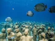 Clip Eva - Khám phá bảo tàng điêu khắc dưới đáy đại dương