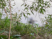 Tin tức - Vụ thi thể 3 mẹ con buộc vào nhau trên sông Bắc Giang: Tin nhắn cuối cùng của người mẹ