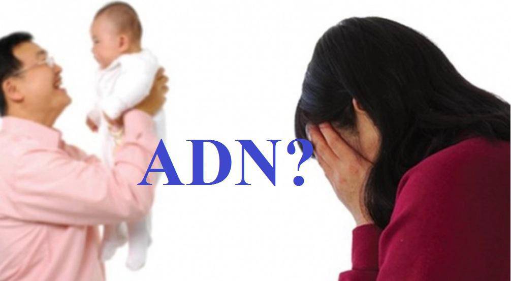 Đại gia cung phụng vợ bé, nuôi nhầm amp;#39;con tu húamp;#39; - 2