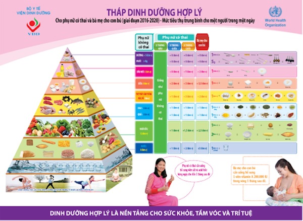 Dinh dưỡng cho bà bầu cần bổ sung những chất gì trong cả thai kỳ - 1