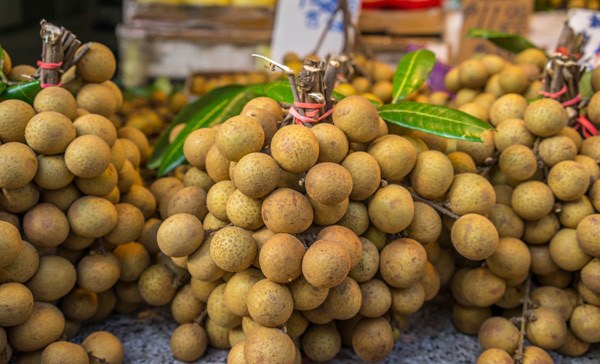 Mận, xoài, đào... Trung Quốc lẫn lộn hàng Việt bán ngập chợ: Nhìn những đặc điểm này để phân biệt - 10