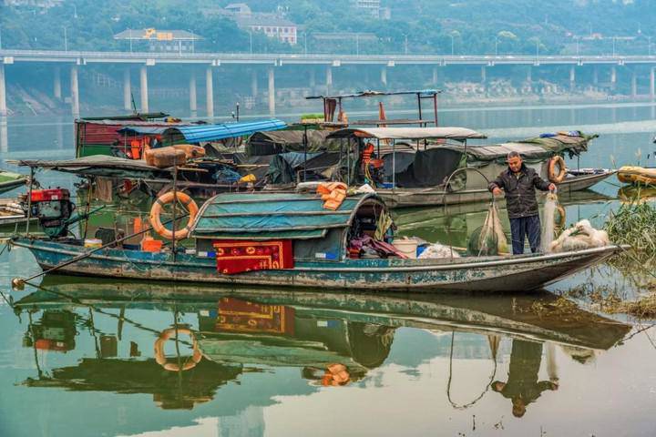 Vì sao sau khi xây xong đập Tam Hiệp, Trung Quốc phải thả vào 10.000 con cá? - 4