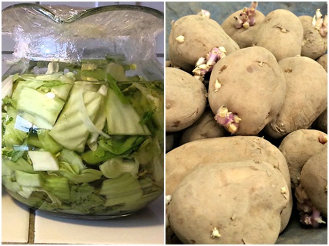 6 loại rau củ chứa đầy độc tố có thể gây ung thư, thiệt mạng nhưng nhiều người vẫn ăn