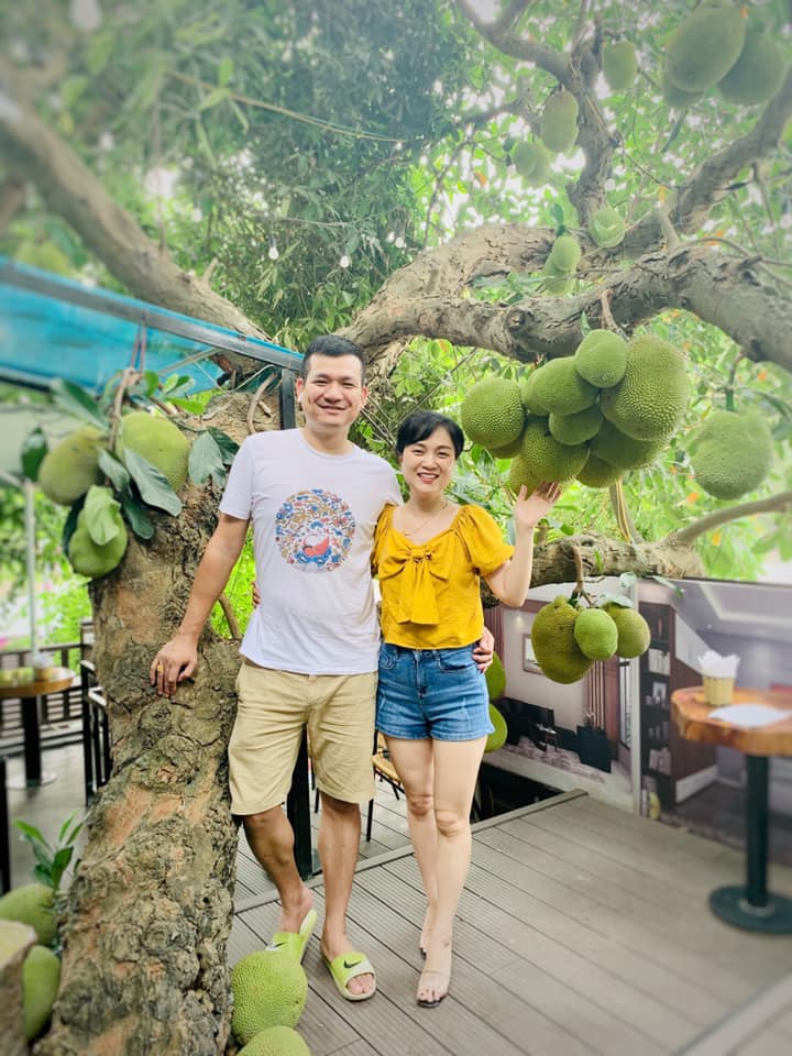 Cây mít sai trĩu quả trong quán cafe ở Tuyên Quang khiến dân tình tròn mắt - 3