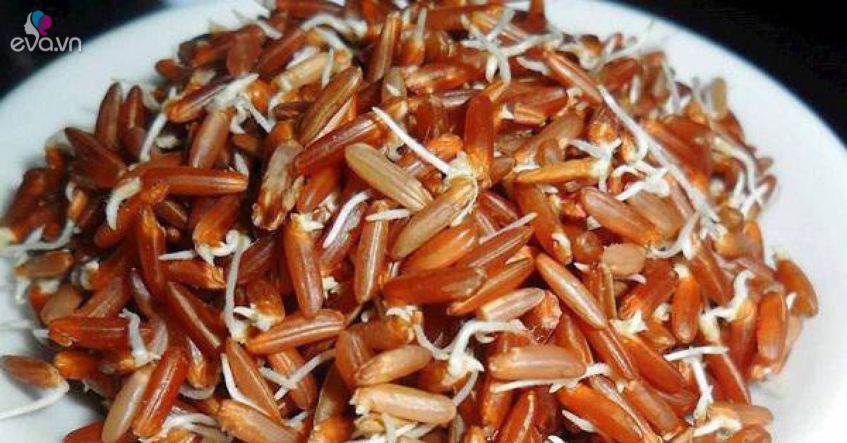 6 thực phẩm mọc mầm không hề độc mà là thần dược cho sức khỏe
