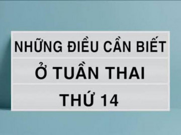 Mang thai 14 tuần: Bé đã có thể nheo mắt, nhăn mặt