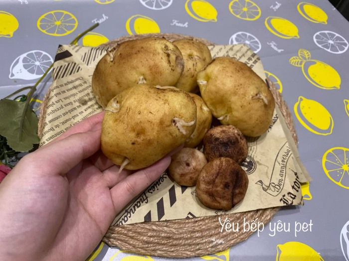 Cô gái làm bánh bao hình khoai tây mọc mầm, hội chị em chấm 100 điểm vì quá giống - 2